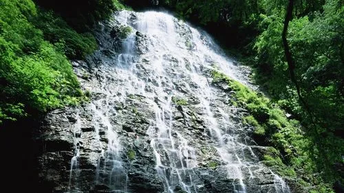 高性能智能系统
